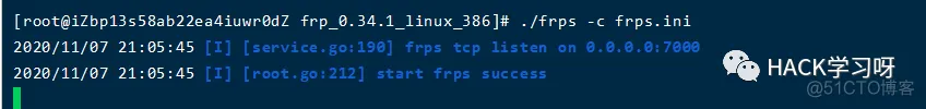 frpc 80端口 不能用 frp 全端口_web安全_13