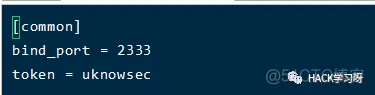 frpc 80端口 不能用 frp 全端口_web安全_19