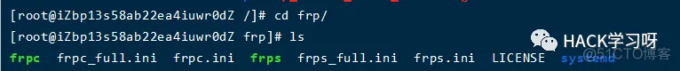 frpc 80端口 不能用 frp 全端口_web安全_09